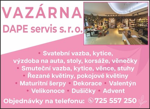 DAPE servis s.r.o.